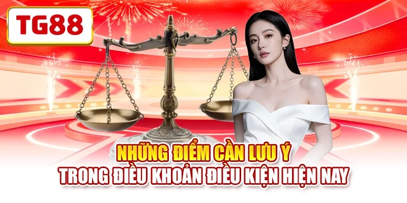 Những điểm cần lưu ý trong điều khoản điều kiện hiện nay